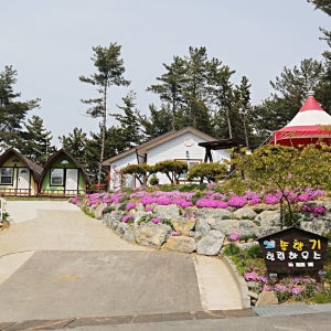 태안 솔향기힐링하우스 / 숙박세일 충청남도 태안군 펜션 숙소 숙박