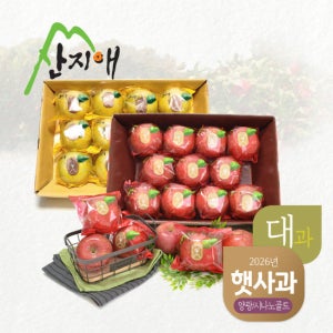 산지애 햇사과 양광 3kg + 시나노골드 3kg (3kg*2박스, 총 16~24과) TV상품