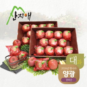 산지애 양광 햇사과 6kg (3kg*2박스, 총 16~24과) TV상품