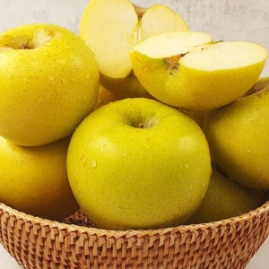 소백산 고당도 황금 사과 시나노골드 2kg(9-12입)