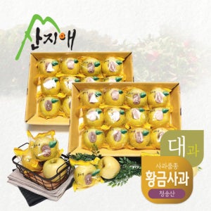 산지애 황금 사과 시나노골드 6kg (3kg*2박스, 총 16~24과) TV상품