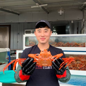 🦀1후포리  박달홍게 중사이즈 400g~480 5마리 수산물, 후포리 대진수산