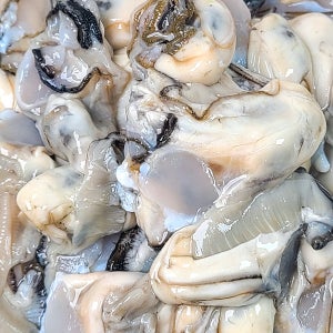 깊은 바다의 맛을 담아 부드럽고 탱글한 생굴 1kg