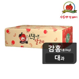[감홍/대과] 산들앤 달코미 세척사과 3kg (총1박스)