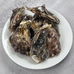 깔끔하게 즐기는 통영 브러쉬 세척 석화 굴 5kg