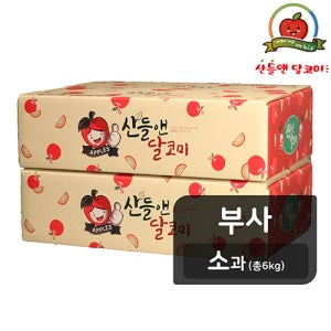 [26년햇사과][소과] 산들앤 달코미 세척사과 3kg x 2박스(총 6kg)