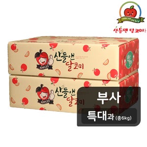 [26년햇사과][특대과]산들앤 달코미 세척사과 3kg x 2박스(총 6kg)