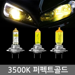 HID급 3500K 제논 빅골드 뛰어난 시인성 전조등 안개등 상향등 하향등 할로겐 램프