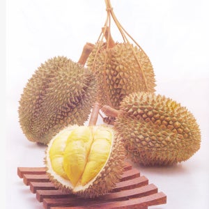 냉동통 두리안 1.5kg - 5kg 크기선택 / 잘익은 과육만담은 두리안팩 900g(450gx2팩)