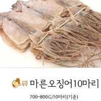 마른오징어 10마리(약750g/10마리기준)