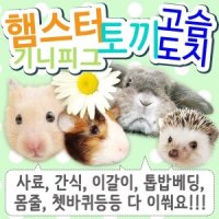 햄스터/토끼/기니피그/고슴도치사료/베딩/간식/급수기