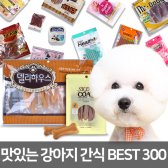 강아지 간식
