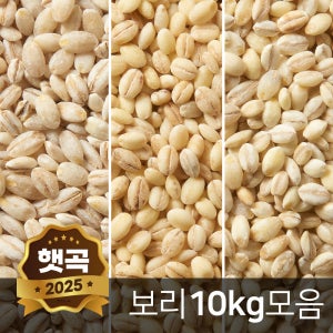 국산 늘보리 10kg 수입 찰보리 모음