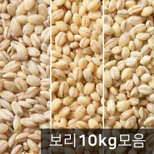 국산 늘보리 10kg 수입 찰보리 모음