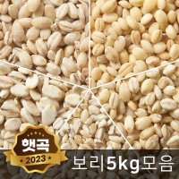 국산 늘보리 5kg 찰보리 쌀보리 모음