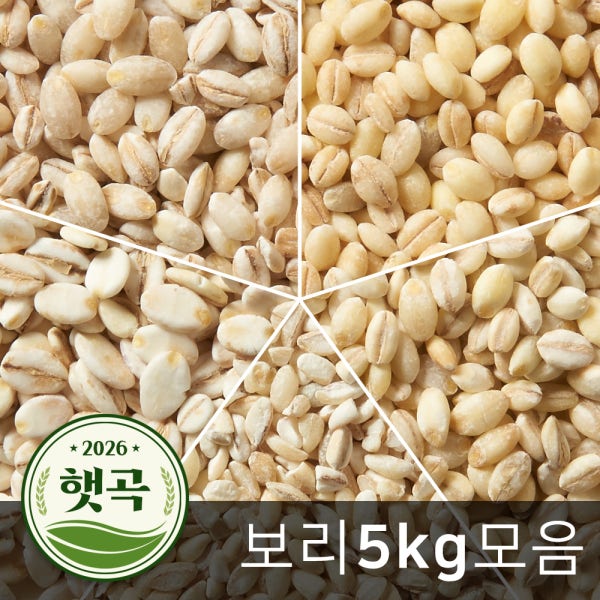 2026년 햇곡 국산 늘보리 5kg 찰보리 흑보리 모음
