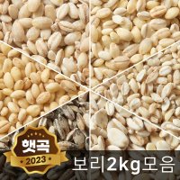 국산 늘보리 2kg 찰보리 쌀보리 모음