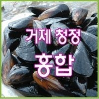 거제홍합4kg/산지직송/당일생산