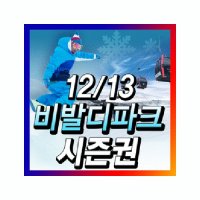 [12~13시즌] 대명 비발디파크 스키 시즌권