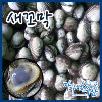 벌교여자만 새꼬막(중)10kg