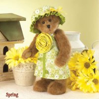 TeddyBear of Spring