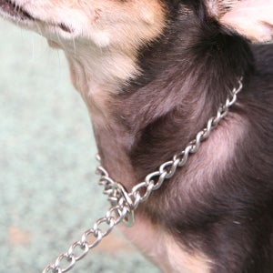 스테인레스 초크체인 강아지 훈련용픔 BC-1
