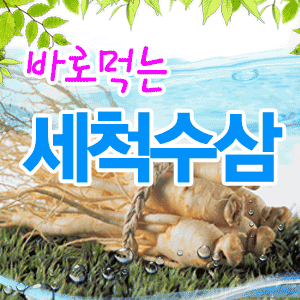 세척수삼300g 600g 홍삼 제조용 인삼 난발삼 파삼 원삼 오쿠 홍삼액 제조용