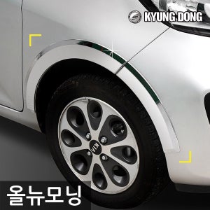 경동 크롬 휀다 몰딩 - 2011 올뉴모닝 전용 바퀴몰딩 휀더부식 커버 차량용