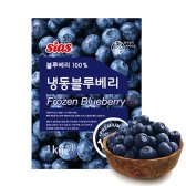 시아스 미국산 A등급 냉동 블루베리 1kg