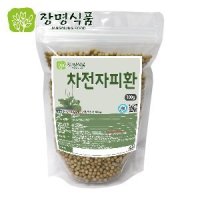 차전자피환 식이섬유 300g