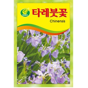 타레붓꽃 씨앗 15립 꽃씨