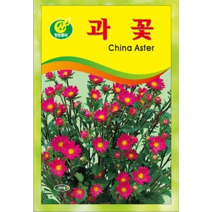 과꽃 씨앗 100립 꽃씨 종자