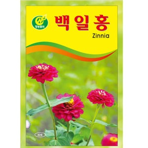 백일홍 씨앗 40립 꽃씨 종자