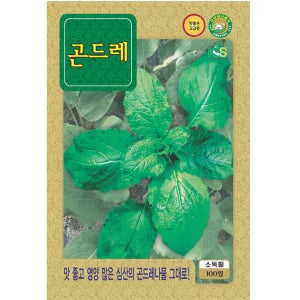 곤드레 씨앗 100립 종자