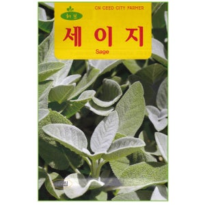 세이지 허브 씨앗 50립