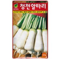 영농사 청천알타리씨앗 25g