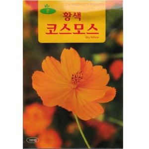 황색 코스모스 씨앗 150립 야생화 종자
