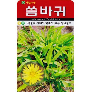 씀바귀 씨앗 100립 종자