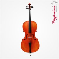 Paganini 파가니니 첼로 PVCS-202