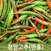 청양고추(반홍)10kg    두리반농산