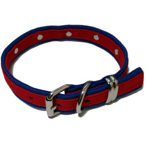 [반자네]강아지 애견 목줄