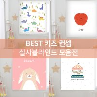 BEST 키즈 컨셉 실사블라인드 80종 모음