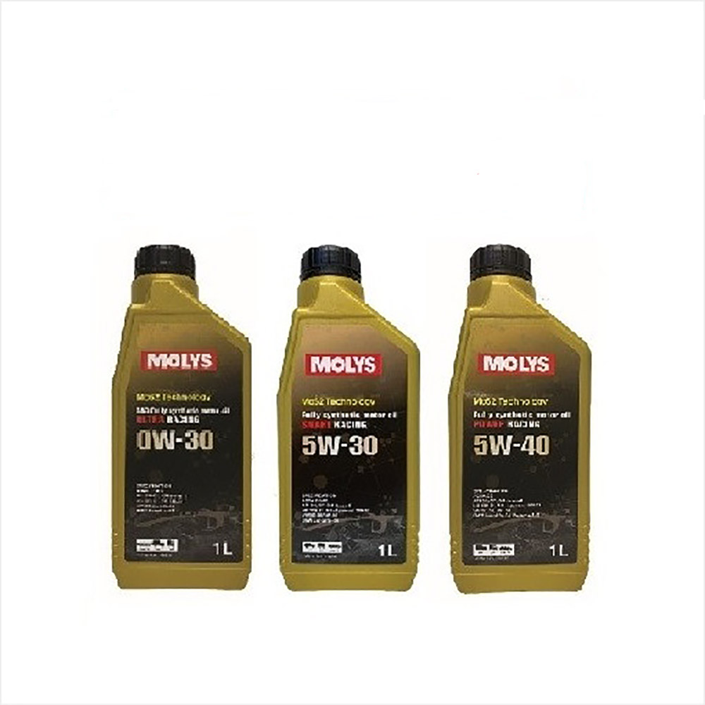 국산 참송이버섯 특품 500g