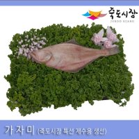 [죽도시장] 가자미 40Cm-45Cm / 1마리 (반건조 생선)