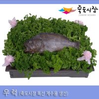 [죽도시장] 우럭(깜바우) 35Cm 이상 / 1마리 (반건조 생선)