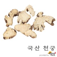 국산 천궁 [600g], 사물차재료, 십전대보재료 [약재파는청년들]