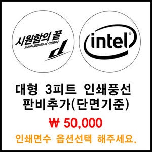 대형풍선인쇄-판비