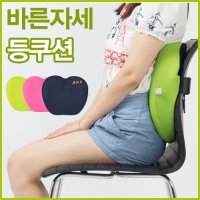 닥터아이 고탄력 등쿠션