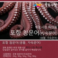 [죽도시장] 문어 / 참문어 3Kg, 생물문어, 자숙문어(살아있는 문어 삶은 것), 이바지문어, 집들이문어, 행사용 문어