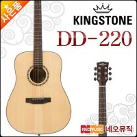 킹스톤 DD220